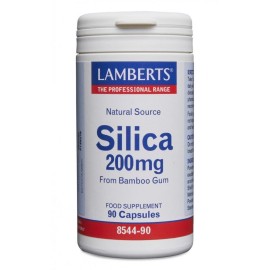 Lamberts Silica, Πυρίτιο 200mg 90caps