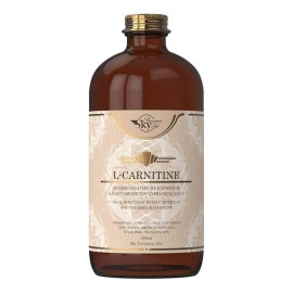 Sky Premium Life L-Carnitine με Βιταμίνες του Συμπλέγματος B σε Πόσιμη Μορφή με Γεύση Πορτοκάλι 480ml