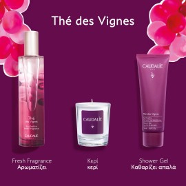Caudalie XMAS PROMO 2025 The des Vignes με Fresh Fragrance Γυναικείο Άρωμα 50ml & ΔΩΡΑ Αρωματικό Κερί 35g & Shower Gel Ενυδατικό Αφρόλουτρο Σώματος 50ml